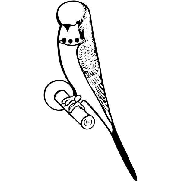 BIRD016 Thumbnail