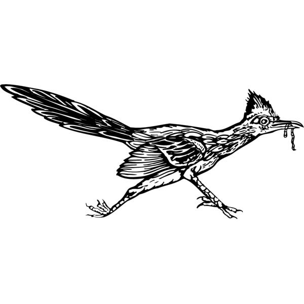 BIRD046 Thumbnail