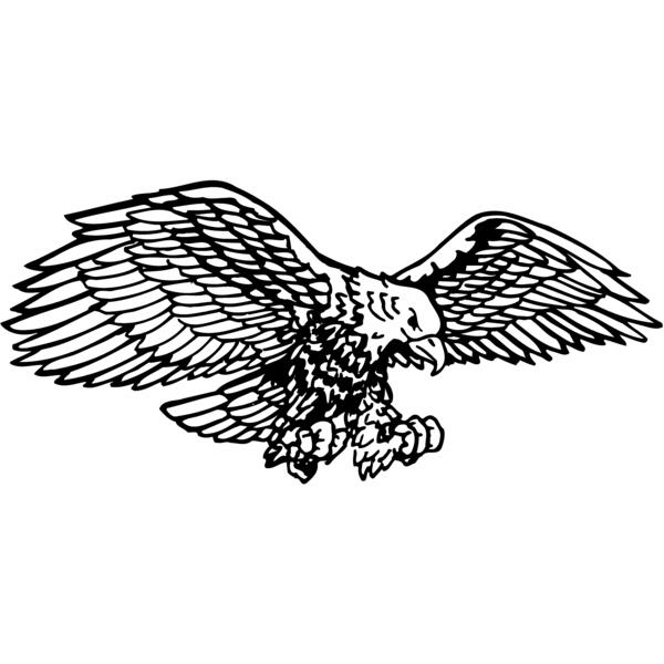 EAGLE003 Thumbnail