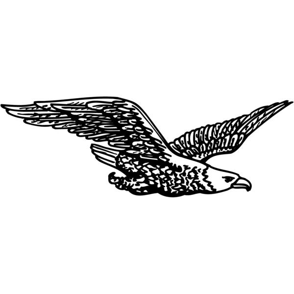 EAGLE006 Thumbnail