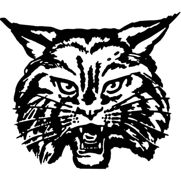 CAT03 Thumbnail