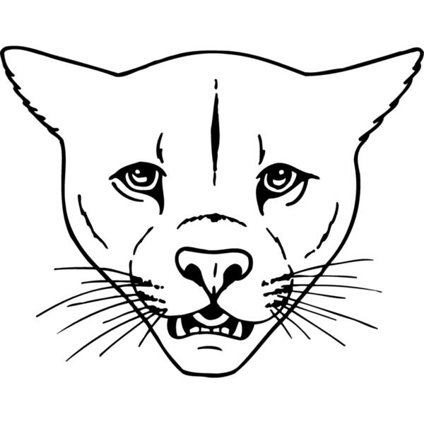 CAT16 Thumbnail