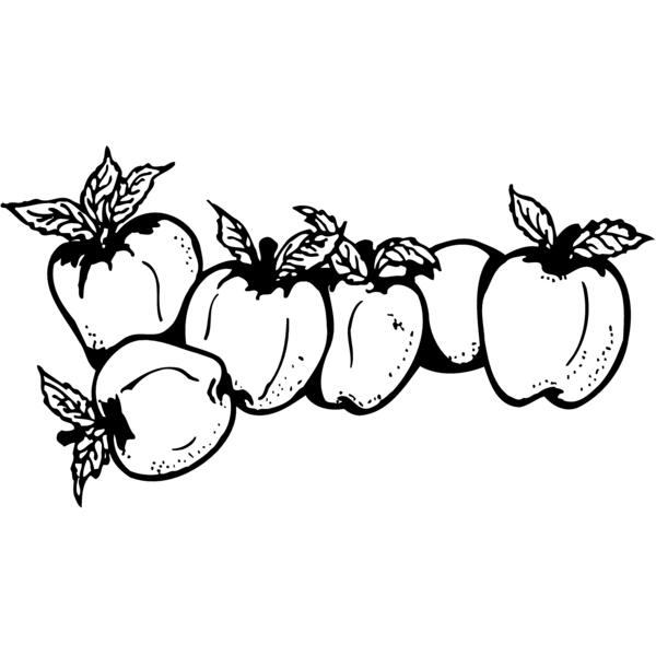 FRUIT029 Thumbnail