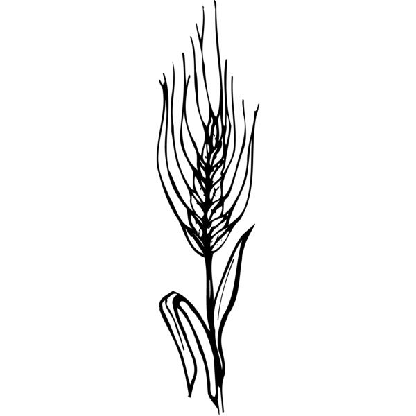 GRAIN009 Thumbnail