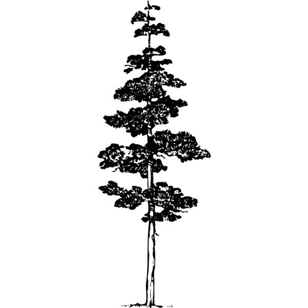 TREE0012 Thumbnail