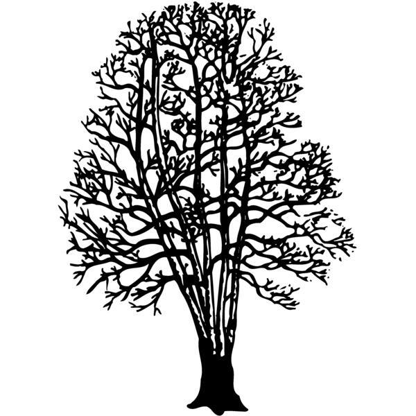 TREE0023 Thumbnail