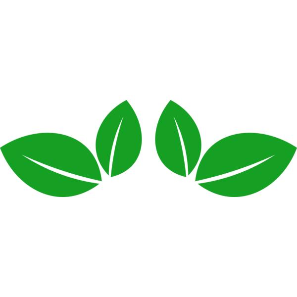 11 Leaves Thumbnail