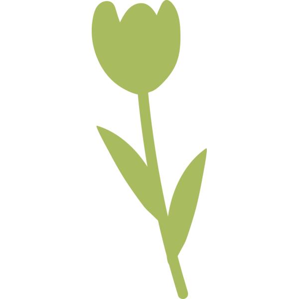 20 Flower Thumbnail