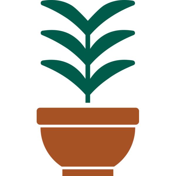 Plant 2 Thumbnail