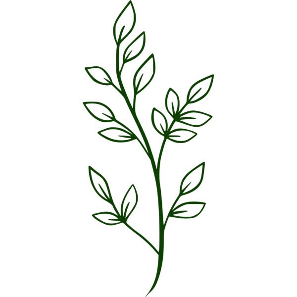 Leaves 2 Thumbnail