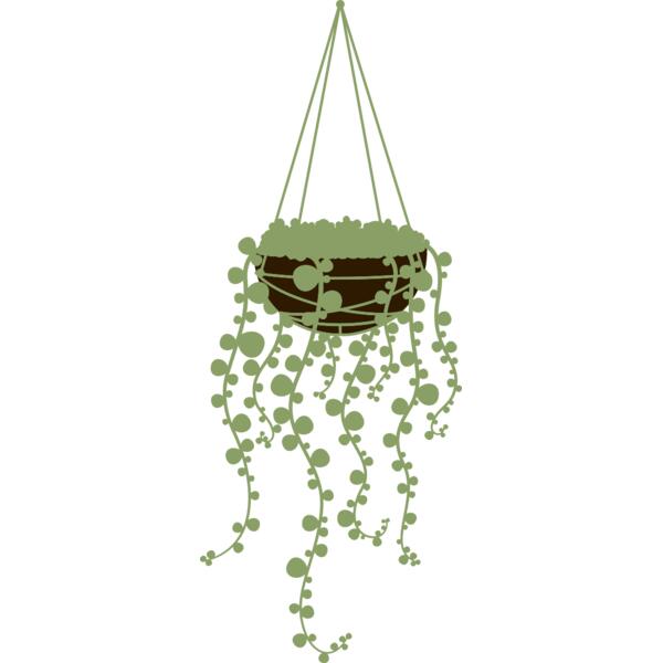 Hanging Plants 3 Thumbnail