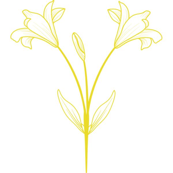 Flowers 9 Thumbnail