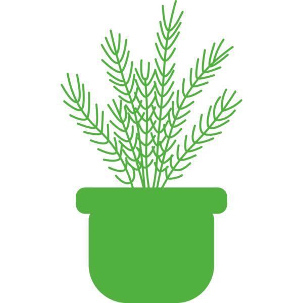 Herb Thumbnail