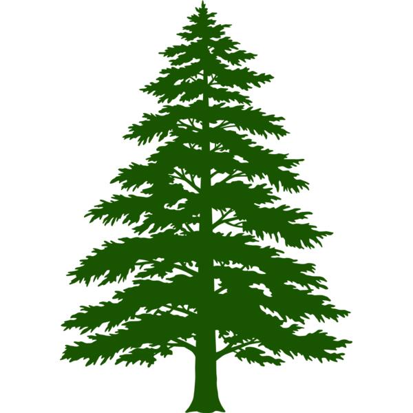 Tree Plant 3 Thumbnail