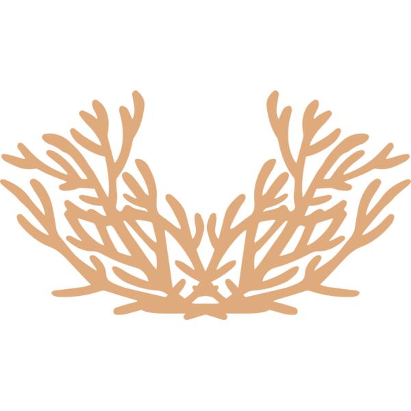 Sea Plants Thumbnail