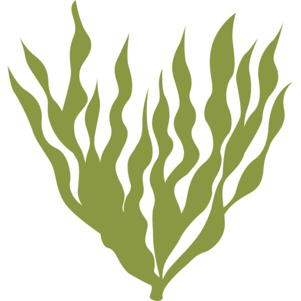Sea Plants 5 Thumbnail