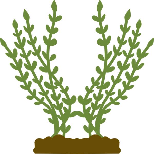 Plants 4 Thumbnail