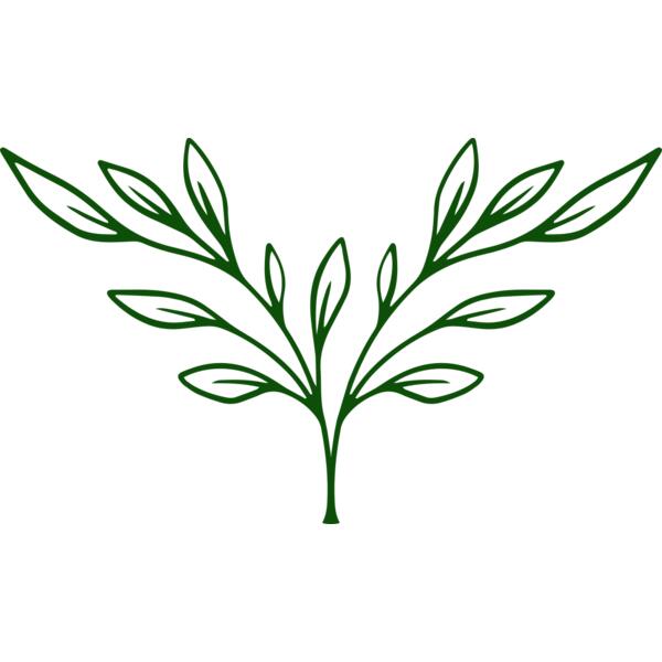 Plants 3 Thumbnail