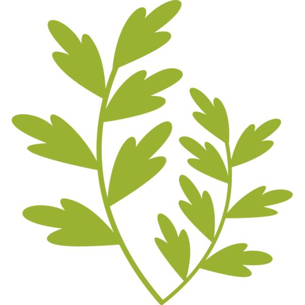 Leaves 11 Thumbnail