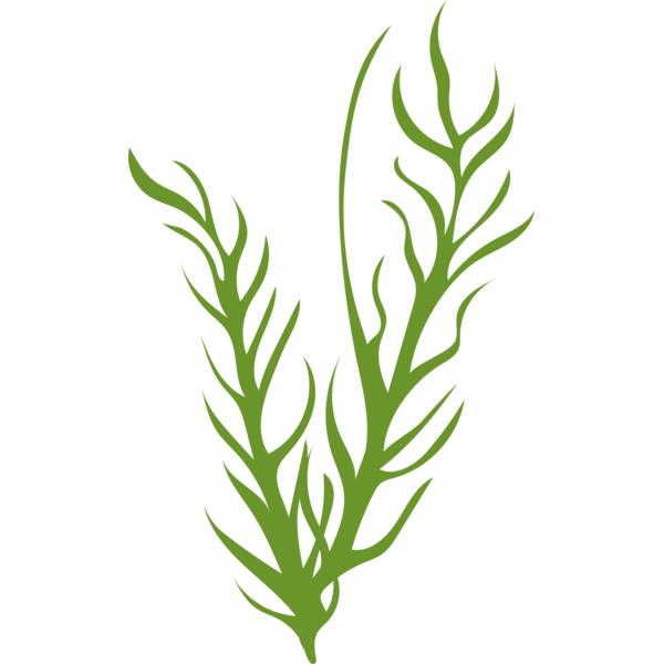Leaves 8 Thumbnail