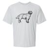 Islander Performance T-Shirt Thumbnail
