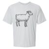 Islander Performance T-Shirt Thumbnail